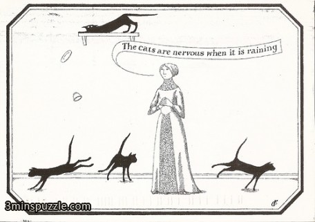 raining-cats-456x321.jpg